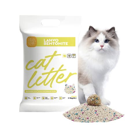 cheapest cat litter online.